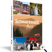 Buch Schwarw Flair Plipp preview
